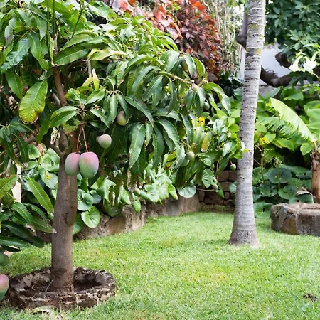 빌라 Casa Marianne *